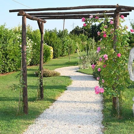 I Delfini - Natural B&B Cesenatico Buitenkant foto