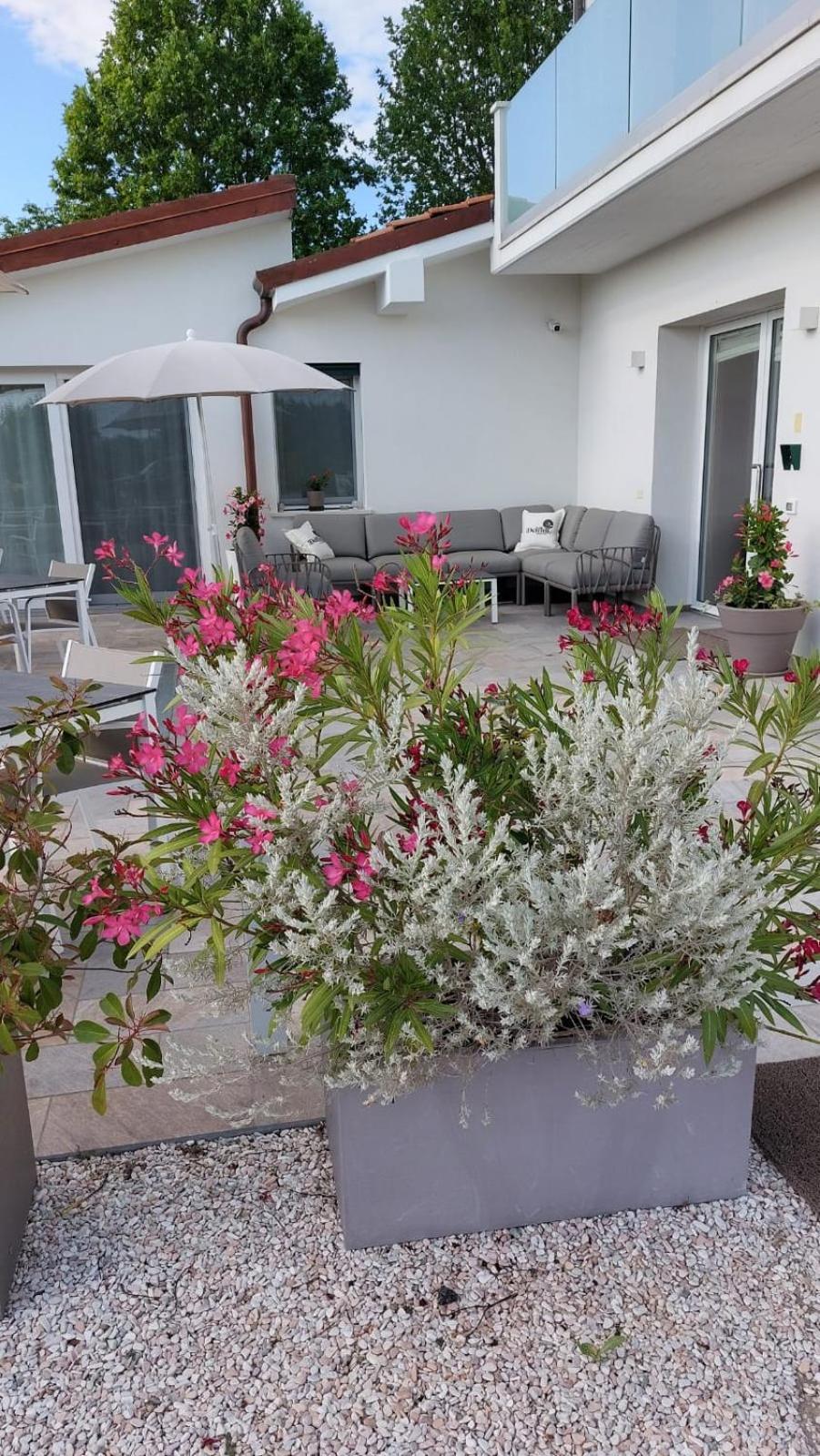 I Delfini - Natural B&B Cesenatico Buitenkant foto